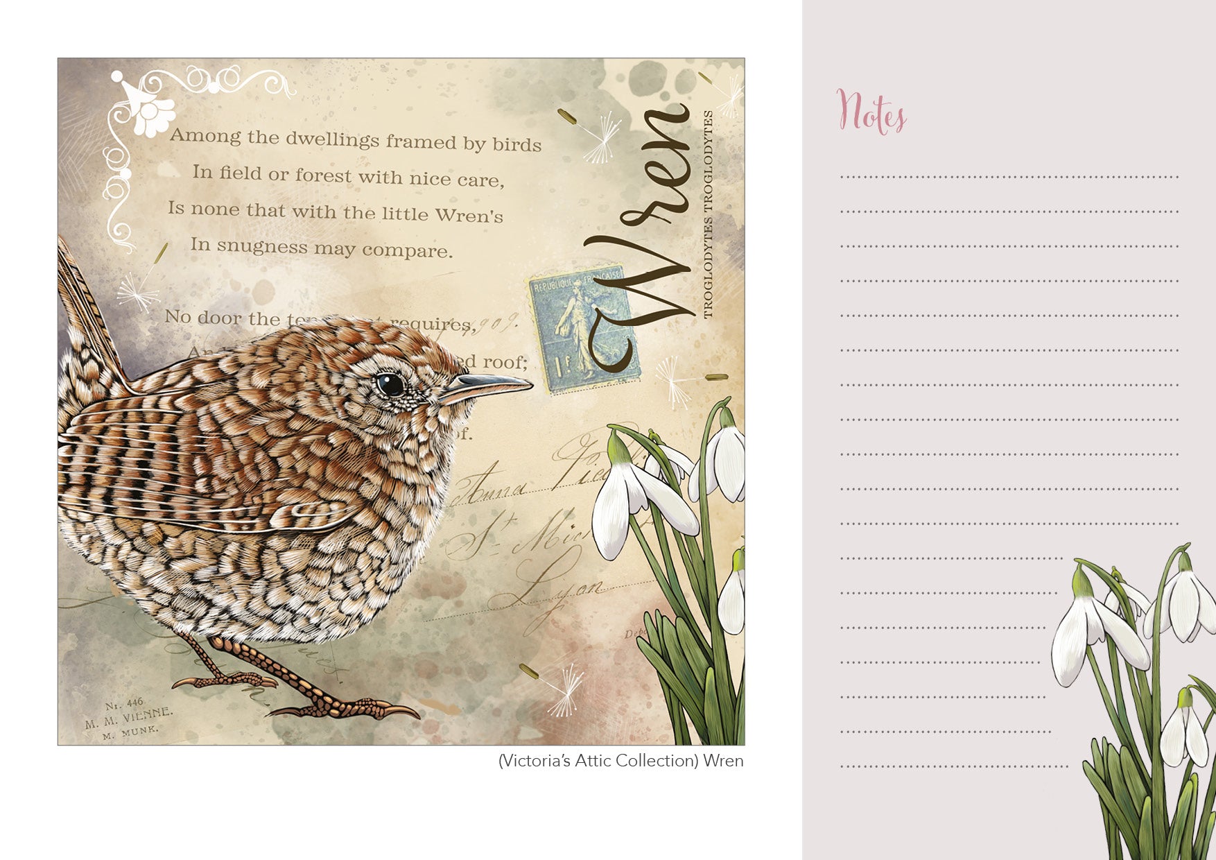 Fox & Boo 2026 A4 Wall Calendar