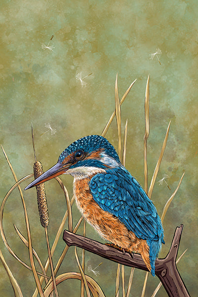 British-made Kingfisher Tea Towel, design is of a stunningly colourful kingfisher perched waterside branch; the background colour is an earthy green watercolour style, which compliments the kingfisher colours.