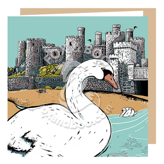 Conwy Swan Greeting Card