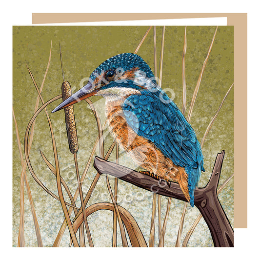 Kingfisher Blues Greeting Card