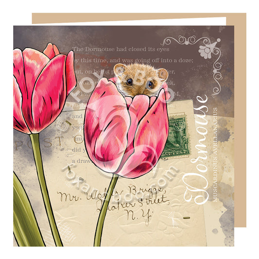 ‘Victoria’s Attic’ Dormouse Card