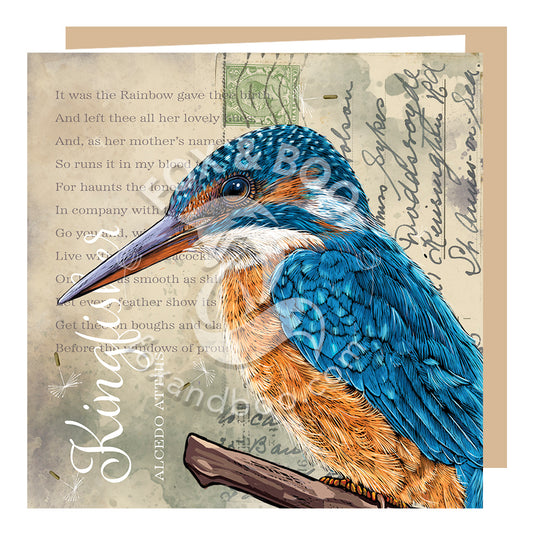 ‘Victoria’s Attic’ Kingfisher Card