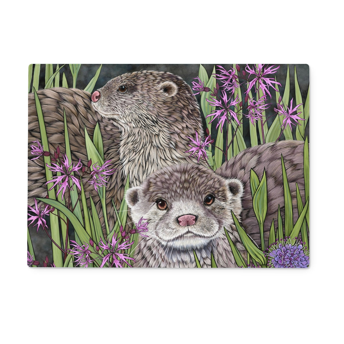 Otters and Ragged Robin Glass Worktop Saver, Illustration features 2 otters on a dark background, surrounded with rushes, marsh flowers and pink ragged robin.