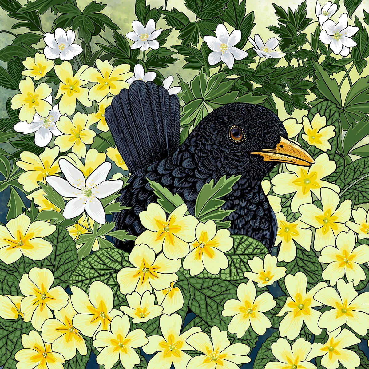 Blackbird and Primrose