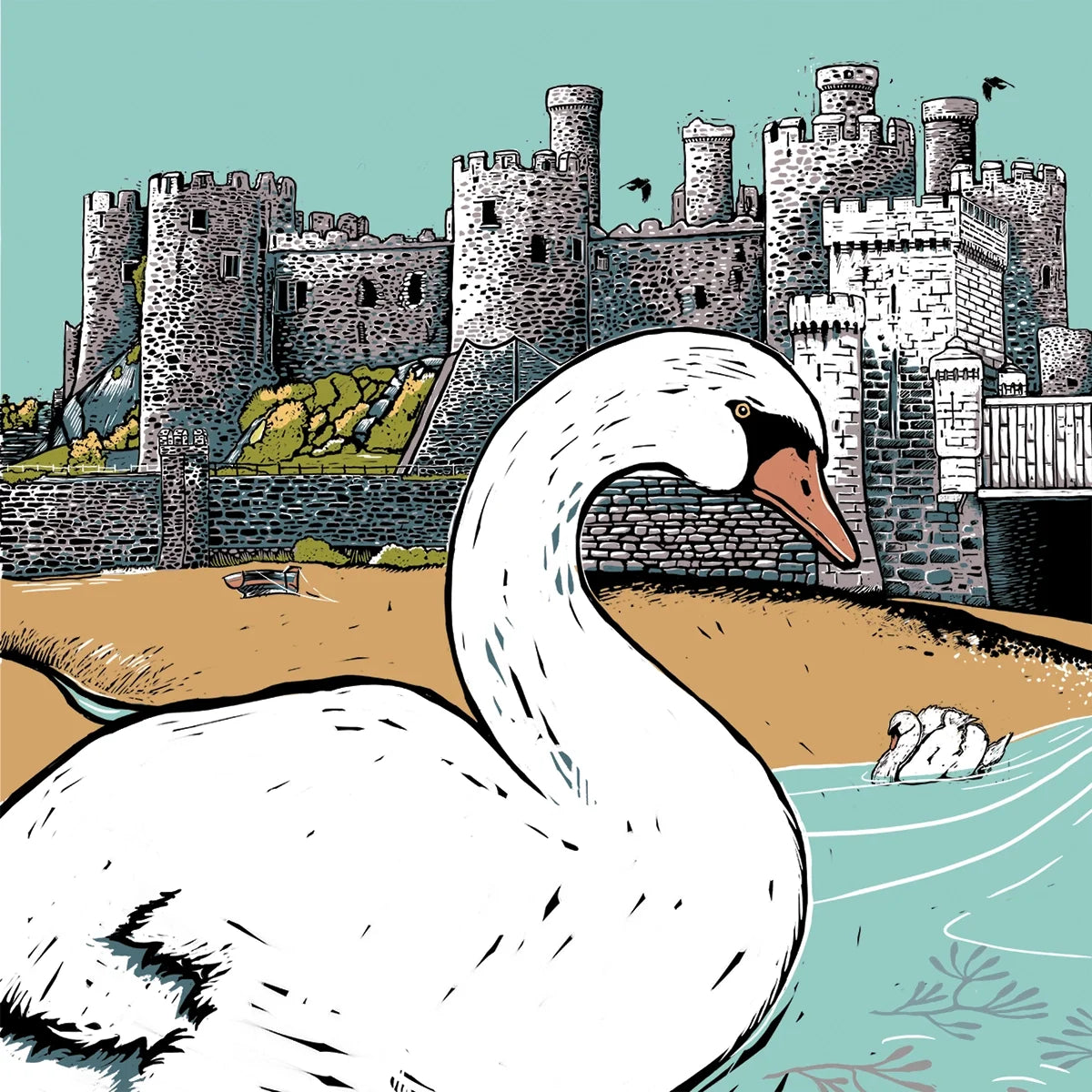 Conwy Swan