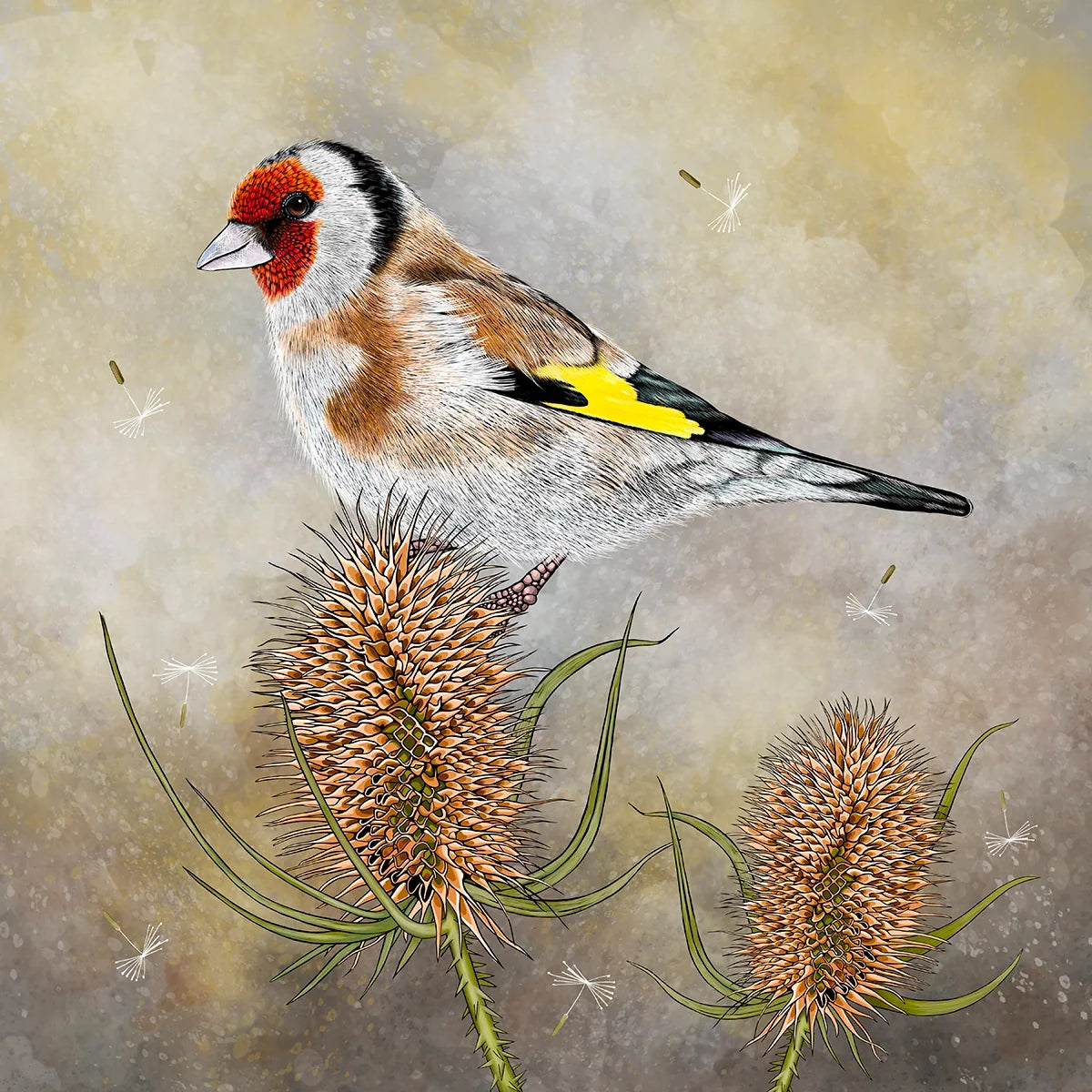 Goldfinch and Teasel