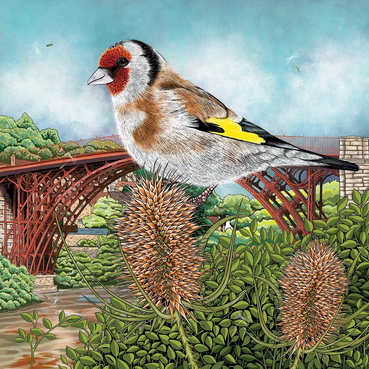 Goldfinch at Ironbridge