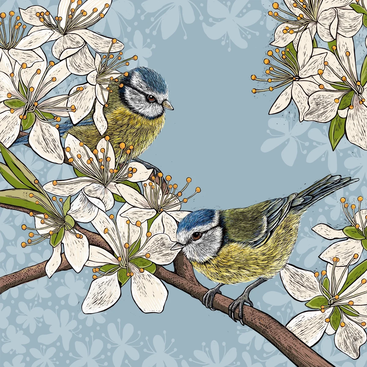 Hedgerow Blue Tits