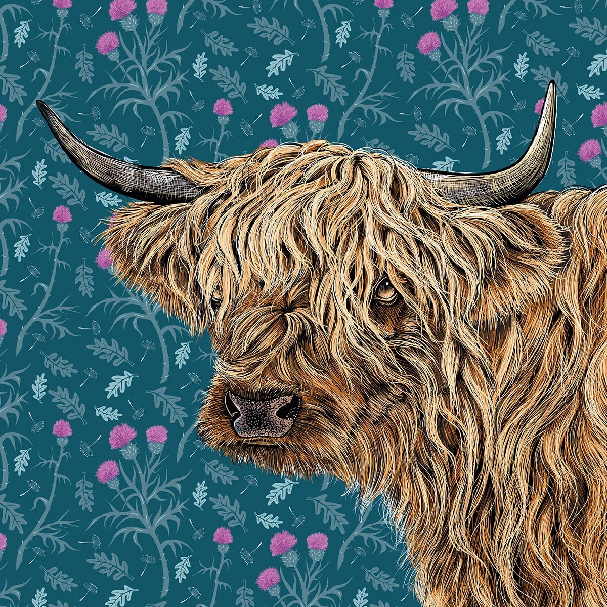 Highland Cow
