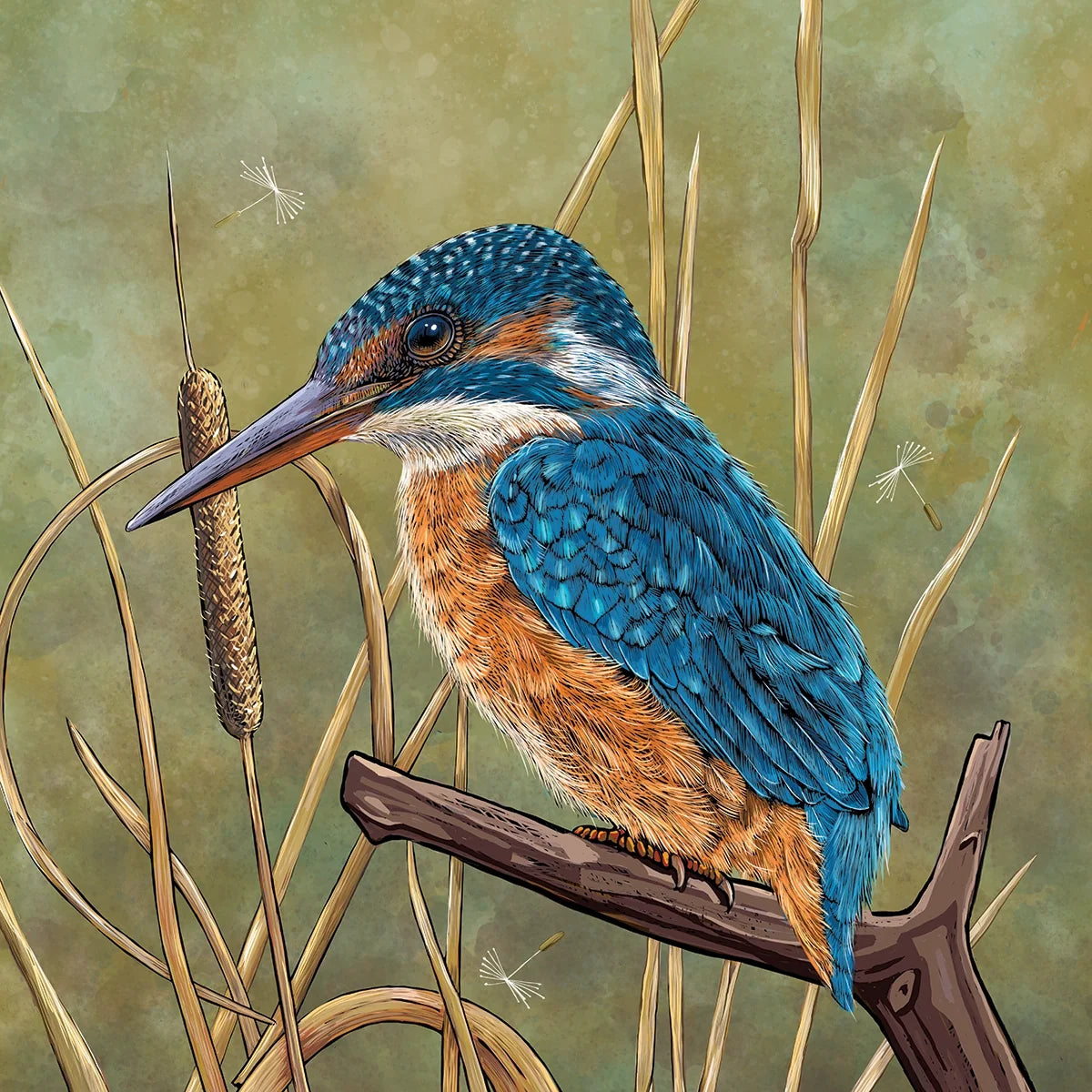 Kingfisher Blues