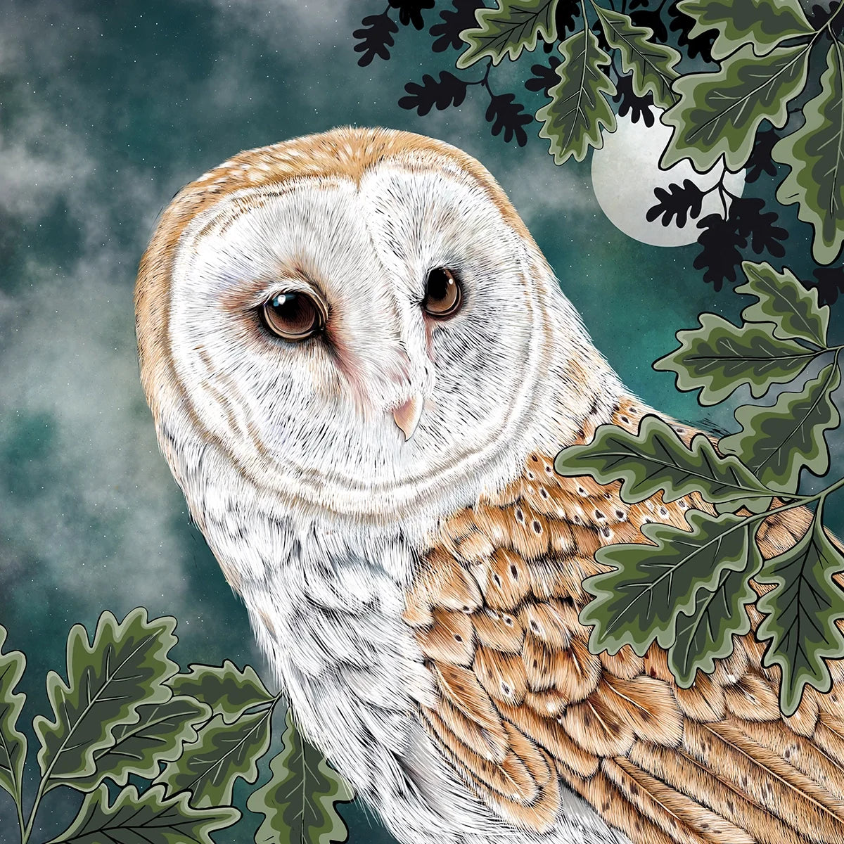 Barn owl set against oak leaves, moon and night sky