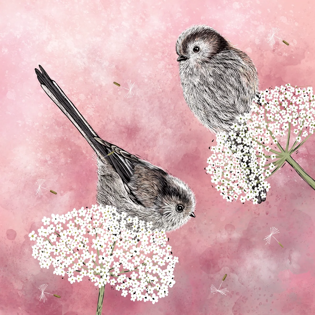 Long Tailed Tits