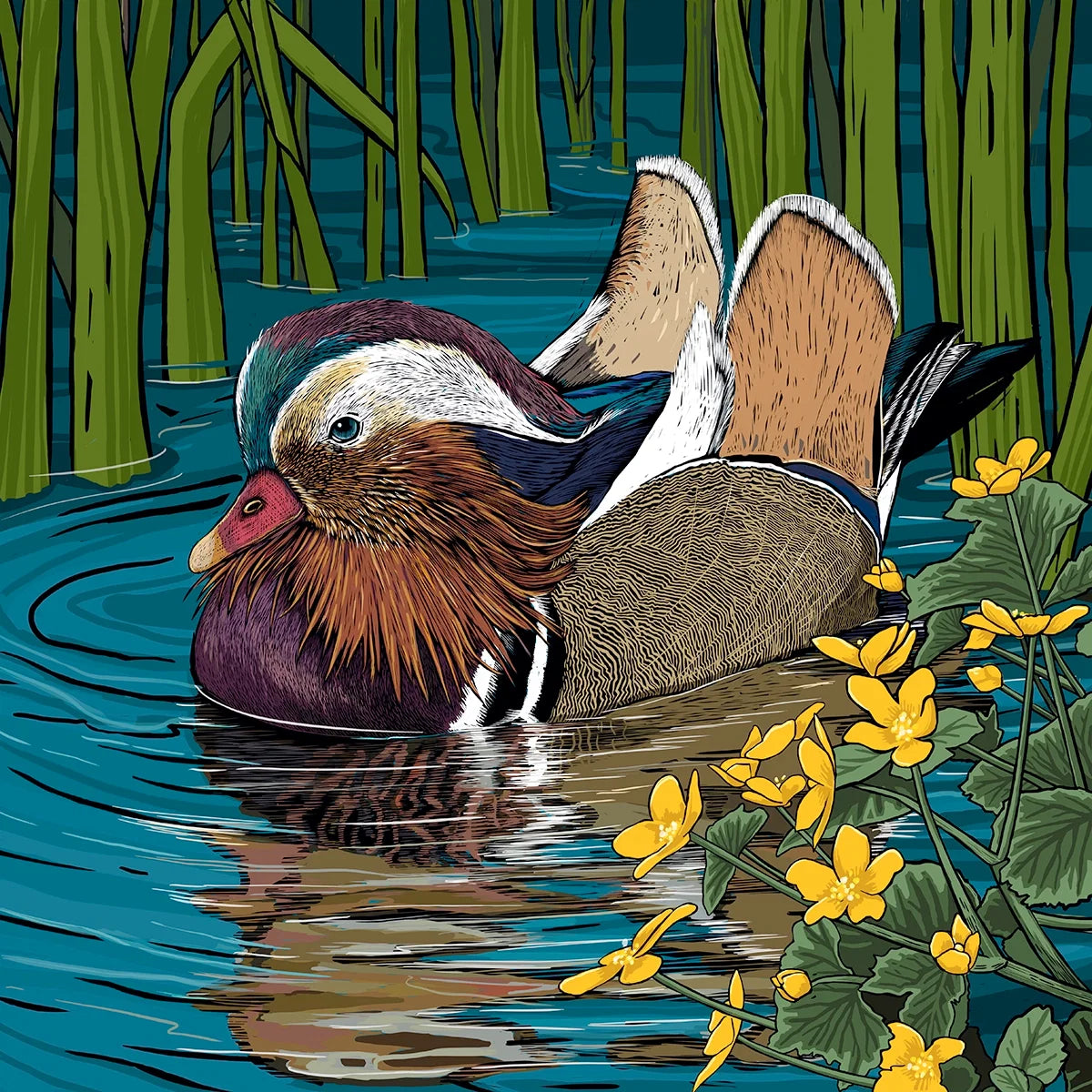 Mandarin and Marigolds