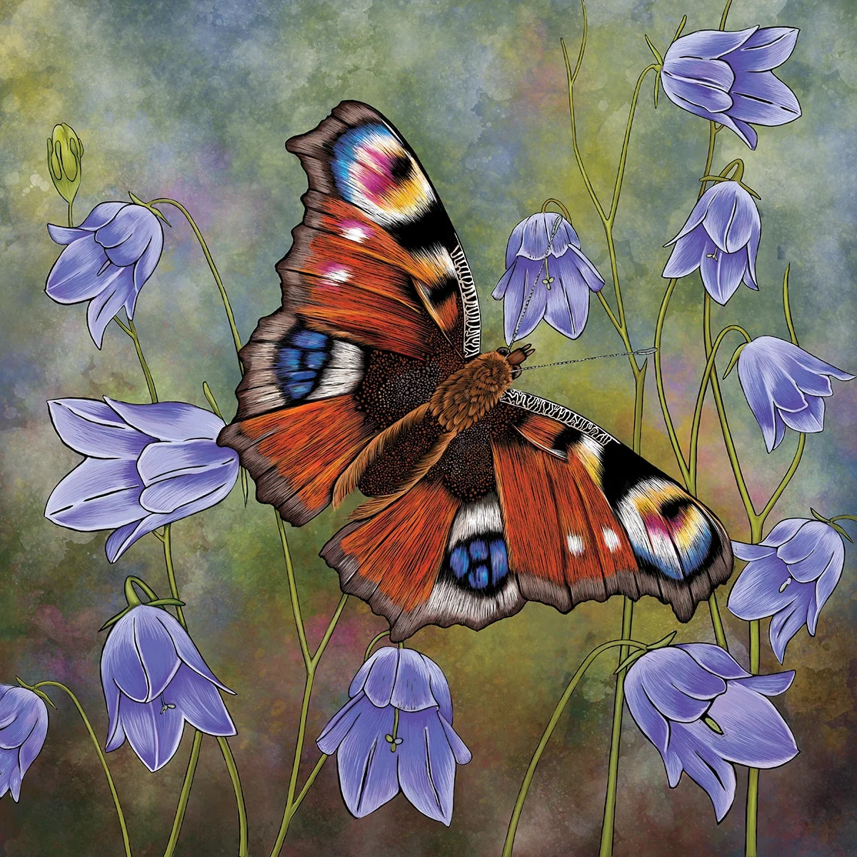 Peacock Butterfly and Harebells
