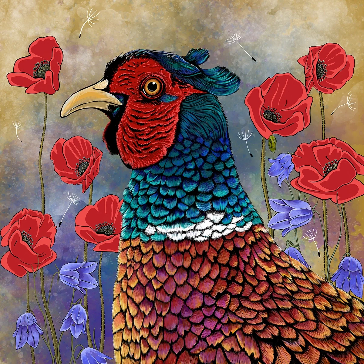 Magnificent Pheasant
