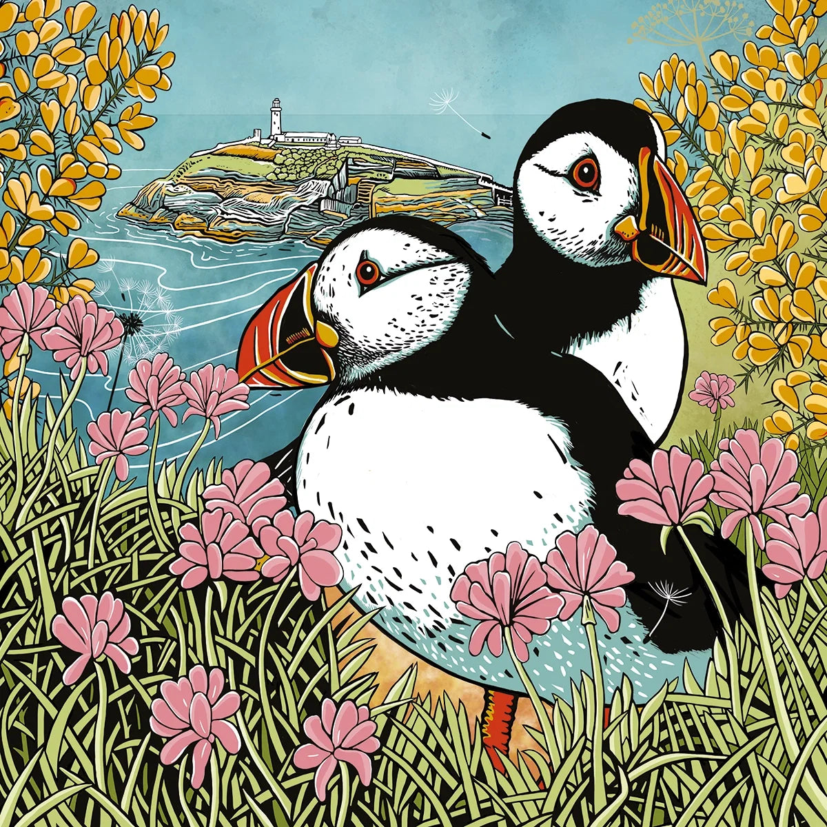 Puffins