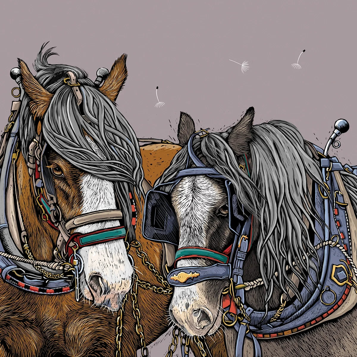 Shire Horses
