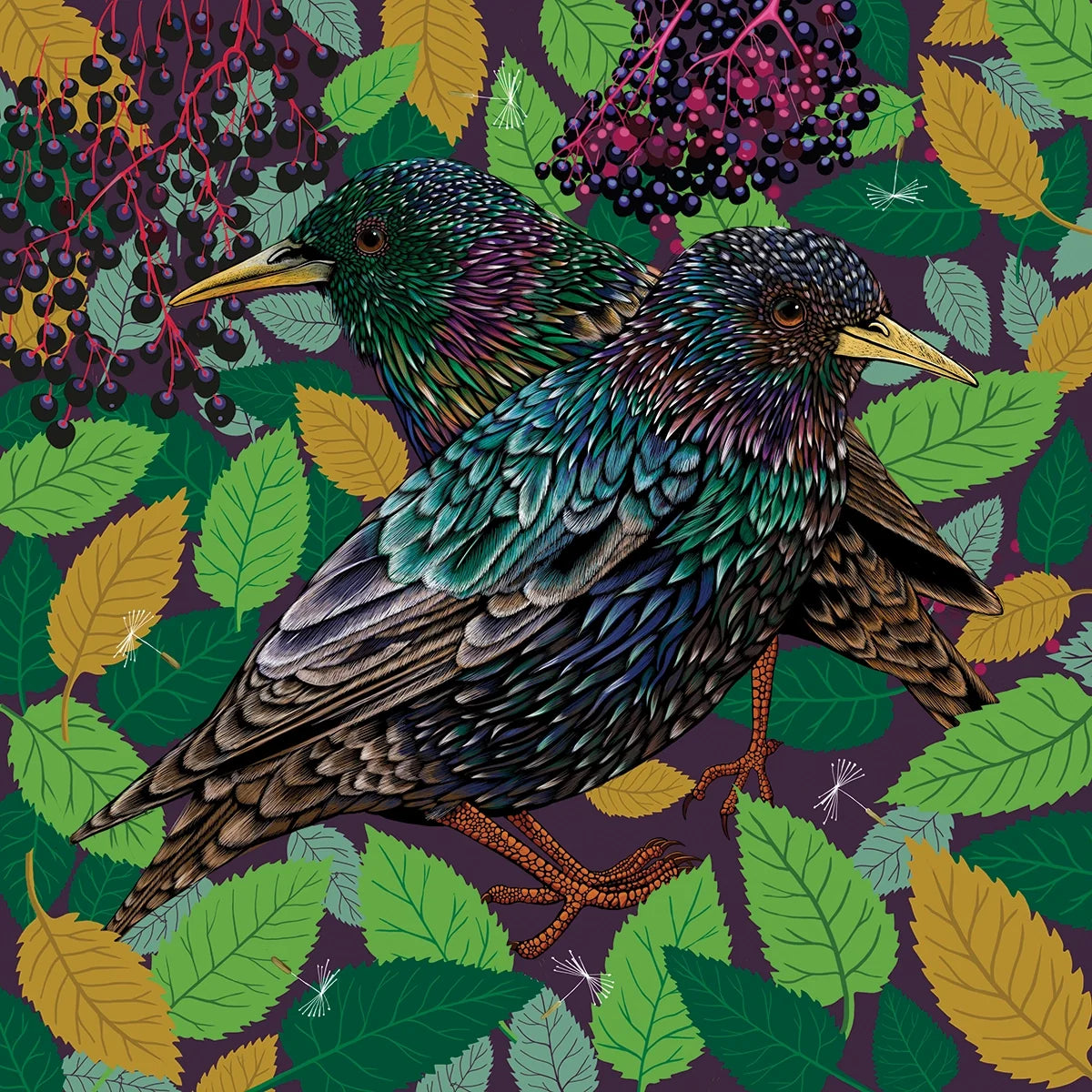 Starlings