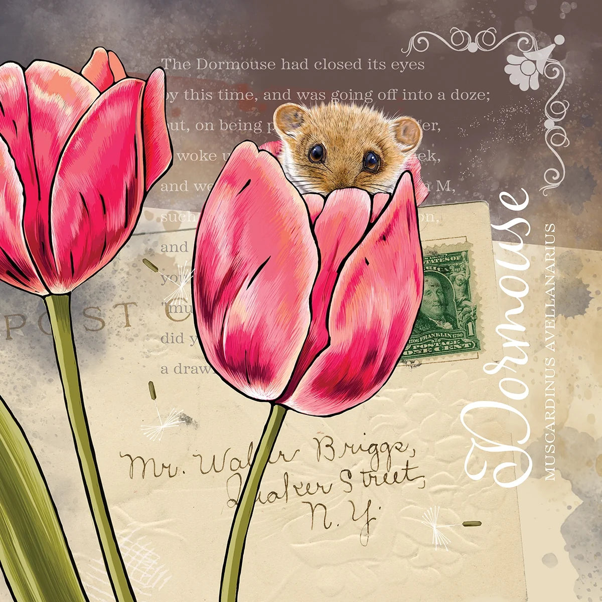Vintage Style Dormouse