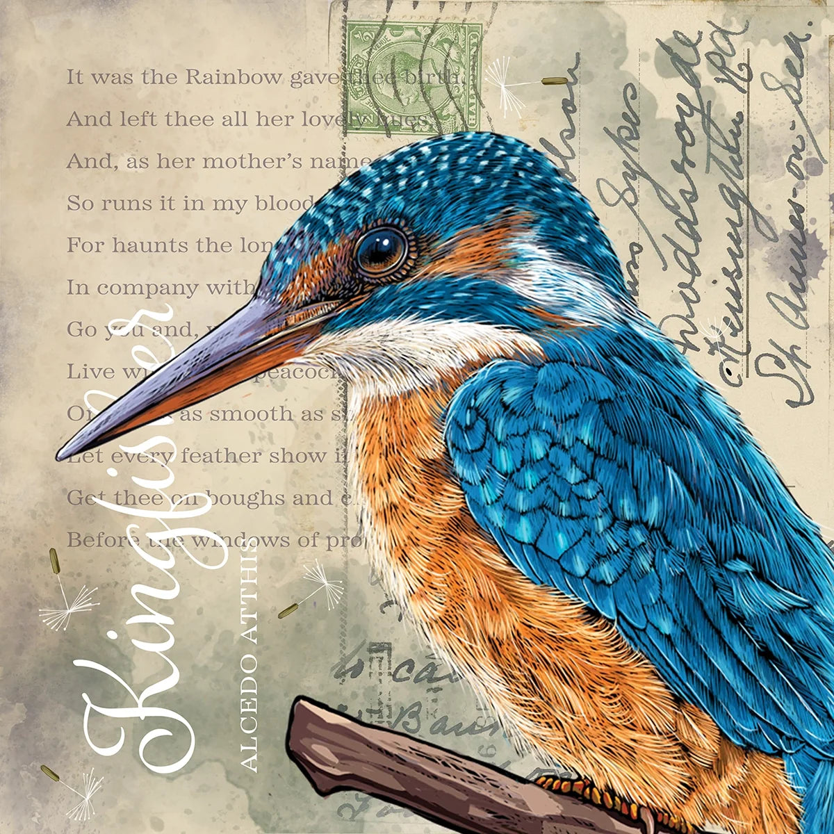 Vintage Style Kingfisher
