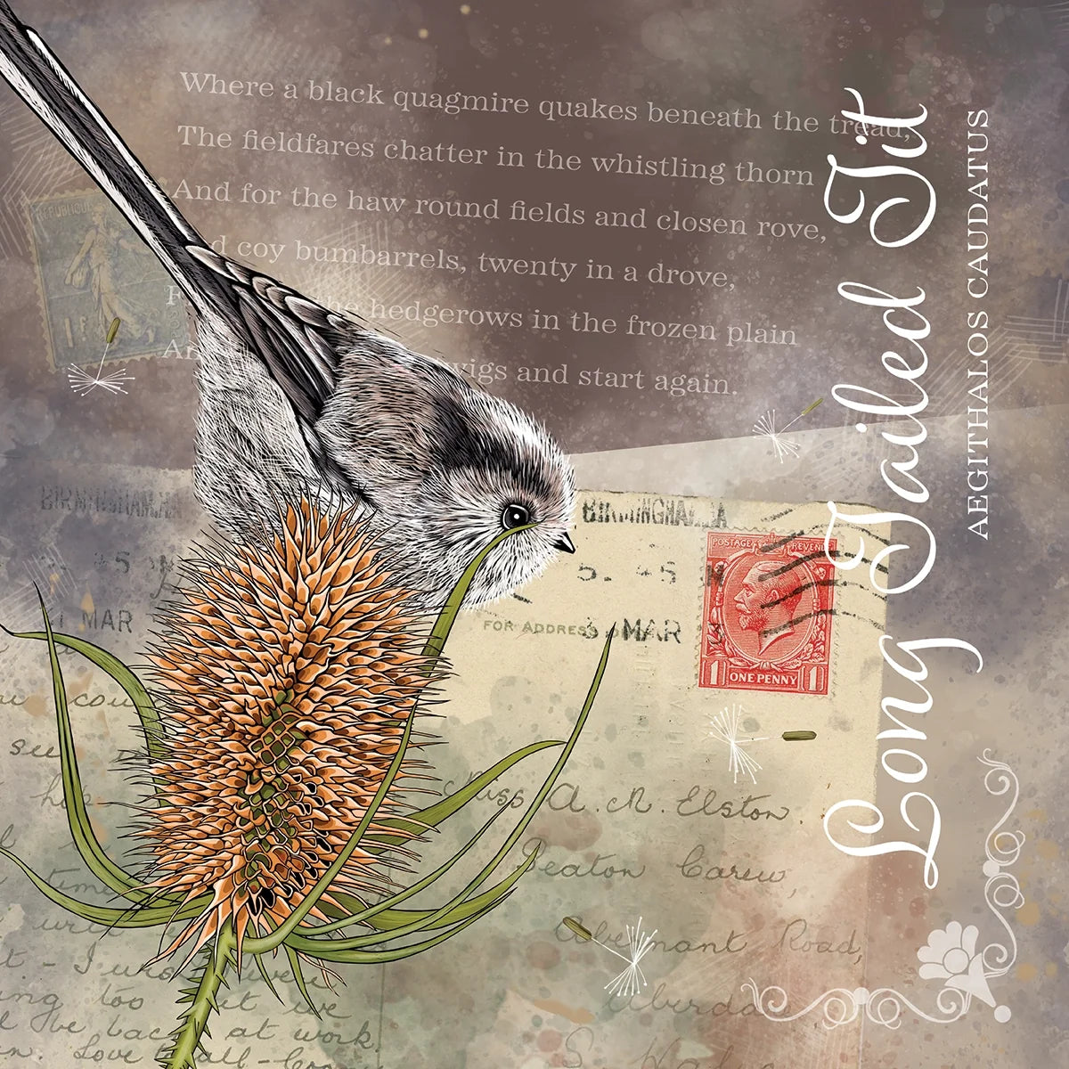 Vintage Style Long Tailed Tit