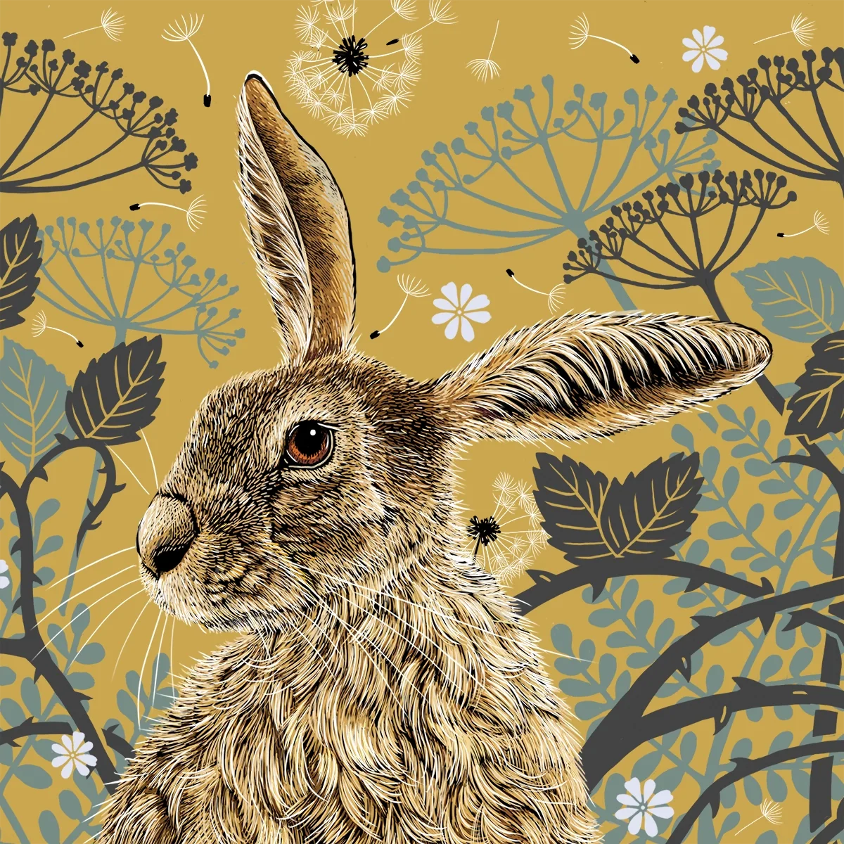 Woodland Hare