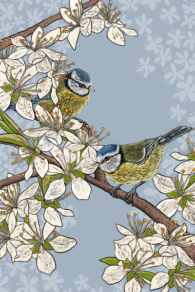 Blue tits tea towel by Fox and Boo, features two cute blue tits perched in hawthorn blossom with blue background.