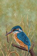 British-made Kingfisher Tea Towel, design is of a stunningly colourful kingfisher perched waterside branch; the background colour is an earthy green watercolour style, which compliments the kingfisher colours. 