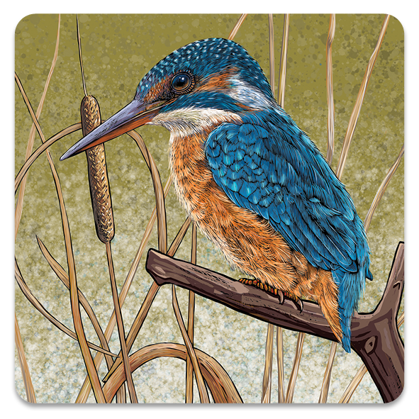 Kingfisher coaster by Fox and Boo