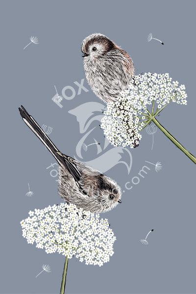 British-made Long Tailed Tits Cotton Tea Towel, Two long tailed tits on cow parsley against dusk grey background.