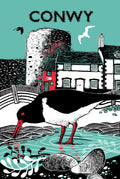 Conwy Oystercatcher Tea Towel, smallest house in Great Britain