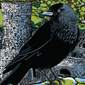 Conwy Castle Jackdaw Cushion