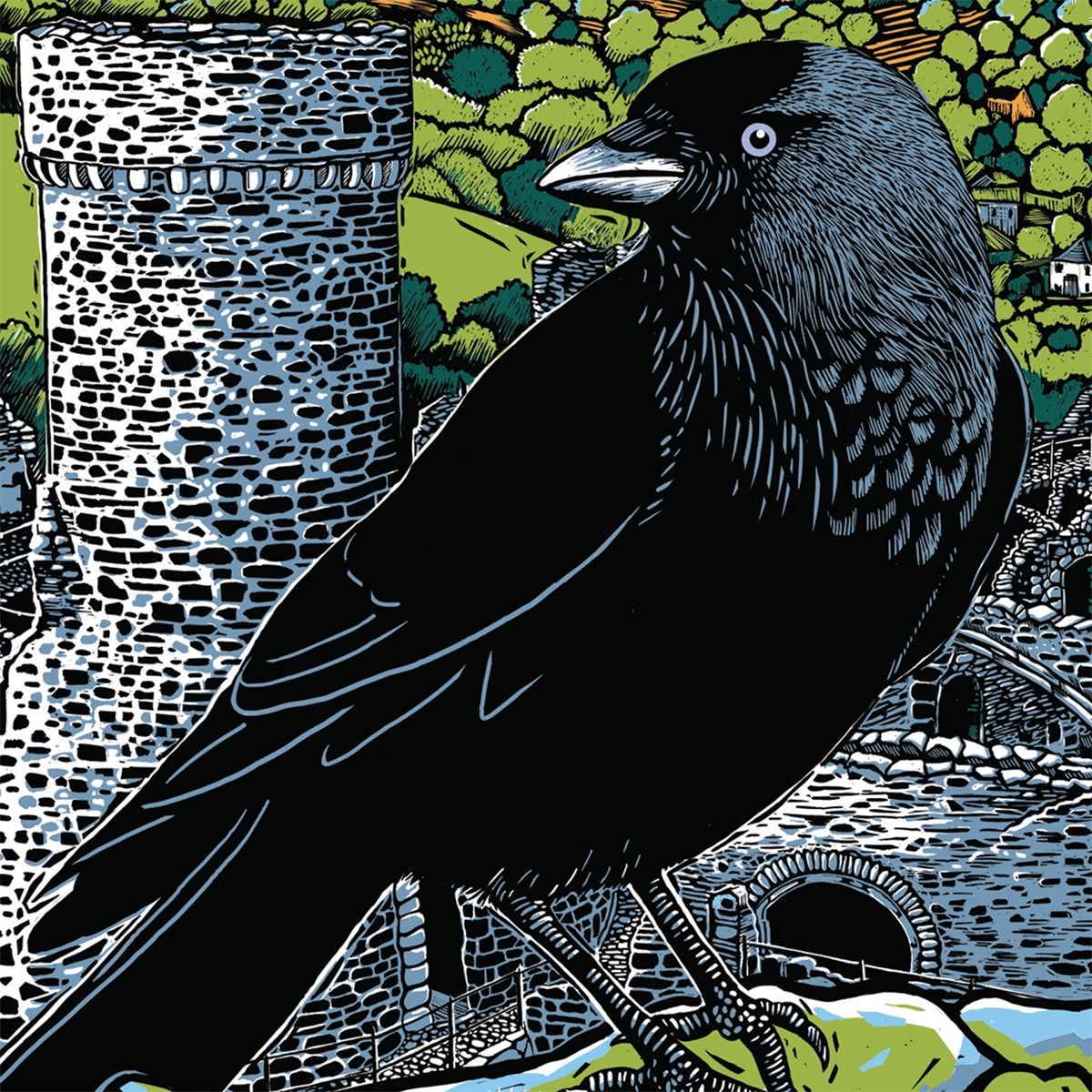 Conwy Castle Jackdaw Cushion