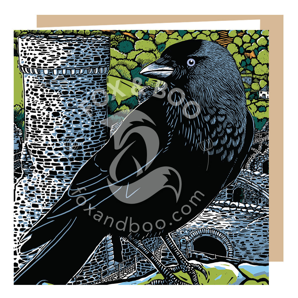 Conwy Jackdaw Greeting Card