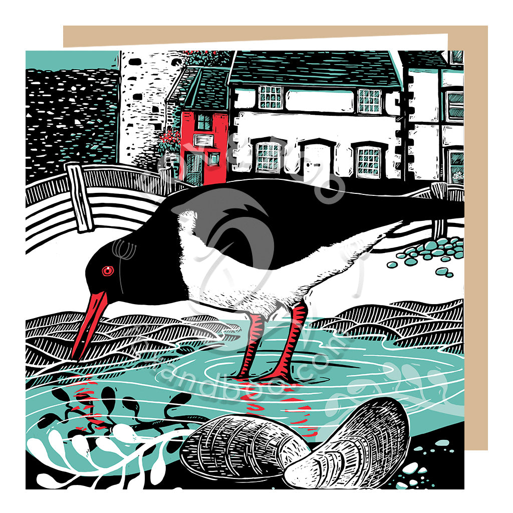 Conwy Oystercatcher Greeting Card