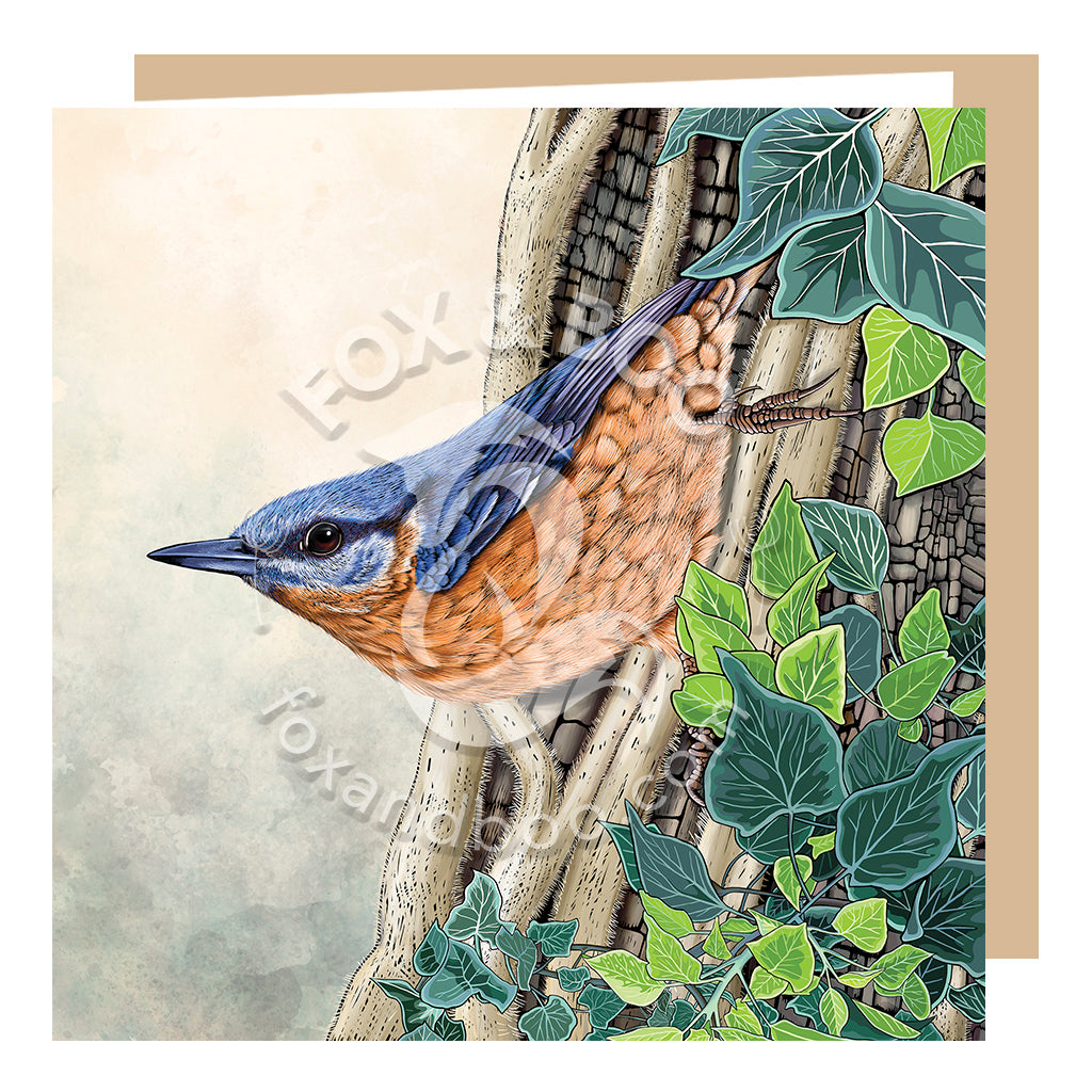Nuthatch and Ivy Greeting Card