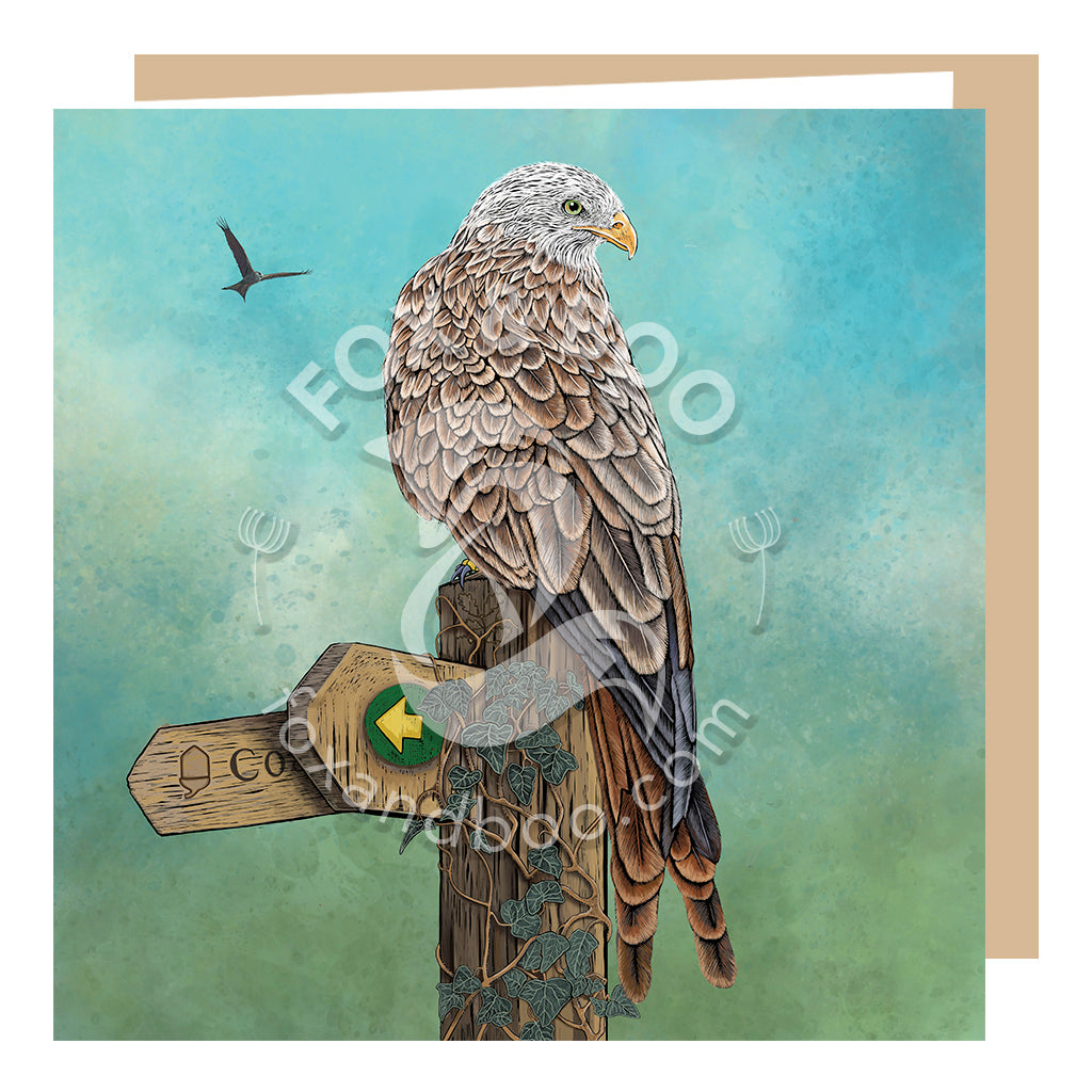 Red Kite Greeting Card