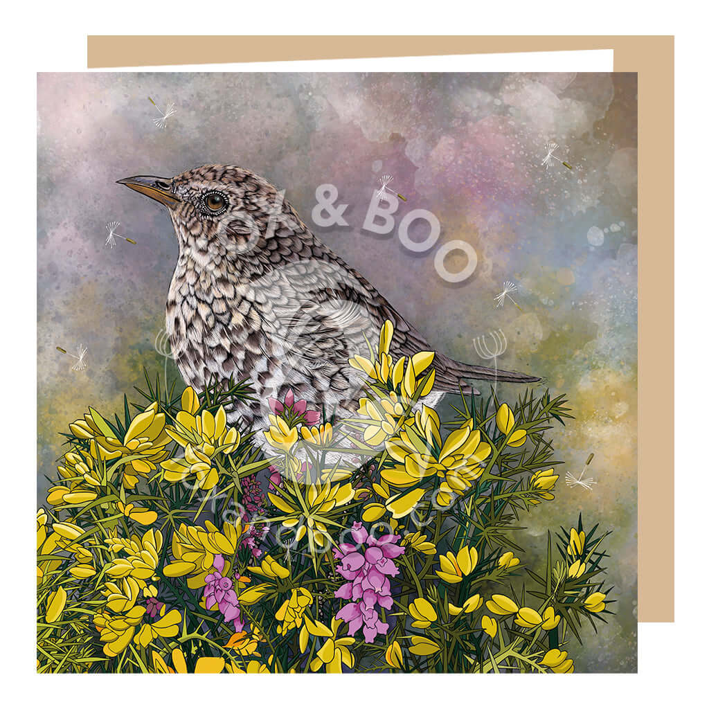 Song Thrush and Gorse Greeting Card