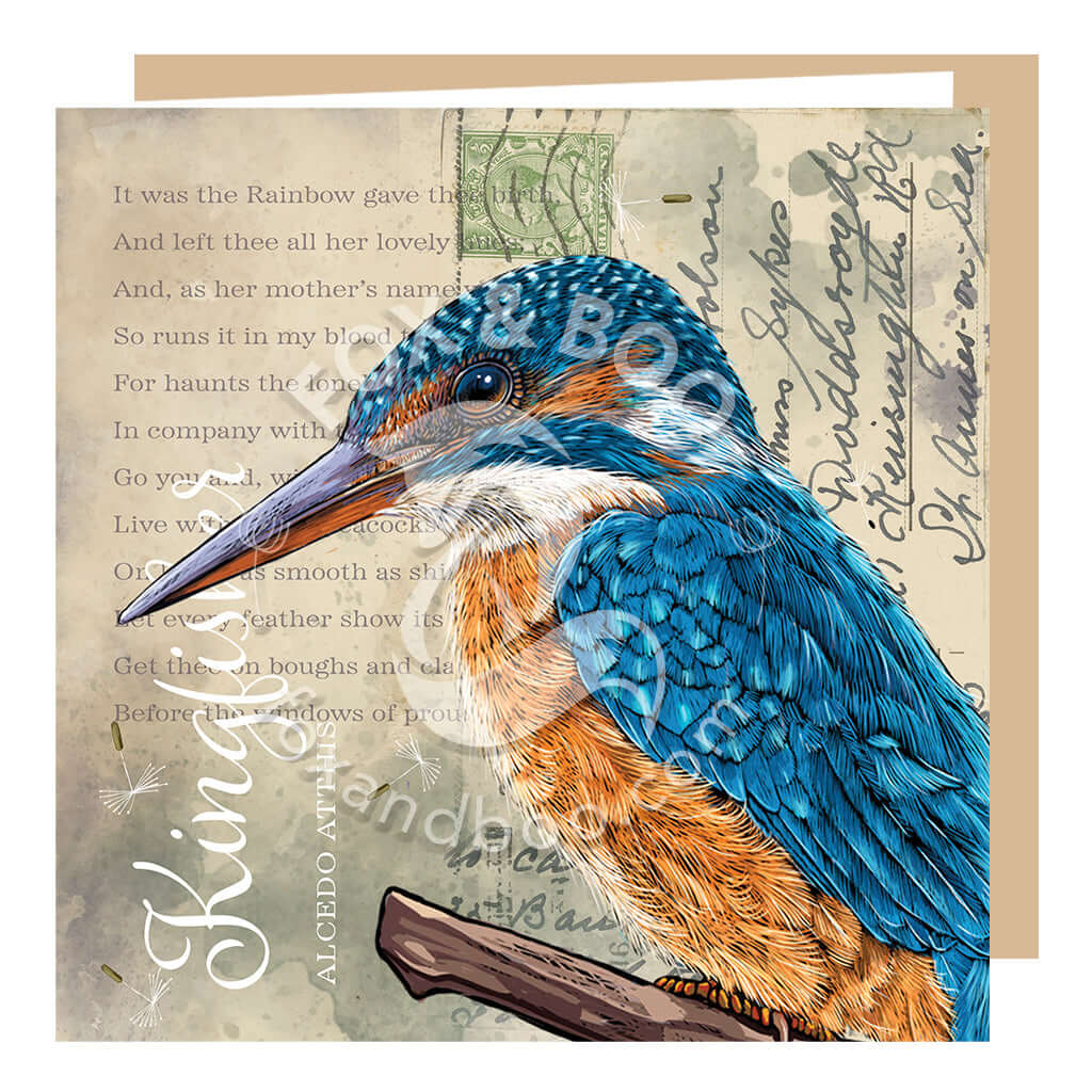 Vintage Style Kingfisher Greeting Card