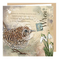 Wholesale Victoria’s Attic Collection Wren Greeting Card