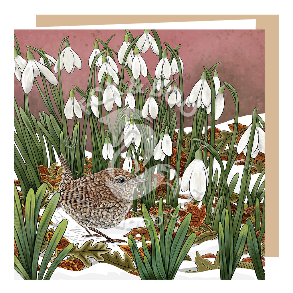 This square blank greeting card Is perfect for use as a birthday card a Christmas card or just for sending personal wishes. It features Eight beautiful rain surrounded by delicate pale snowdrops against a warm background.