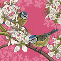Hedgerow Blue Tits Cushion
