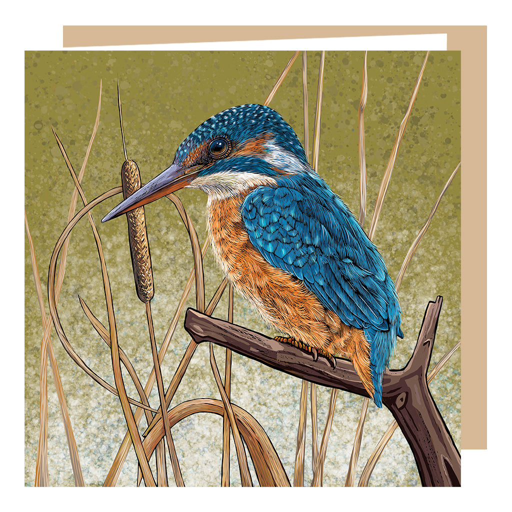 Kingfisher Greeting Card by Fox and Boo