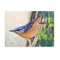 Nuthatch and Ivy Glass Worktop Saver. This design features a beautifully illustrated nuthatch creeping down a tree trunk surrounded in ivy, illustrated by fox and boo.