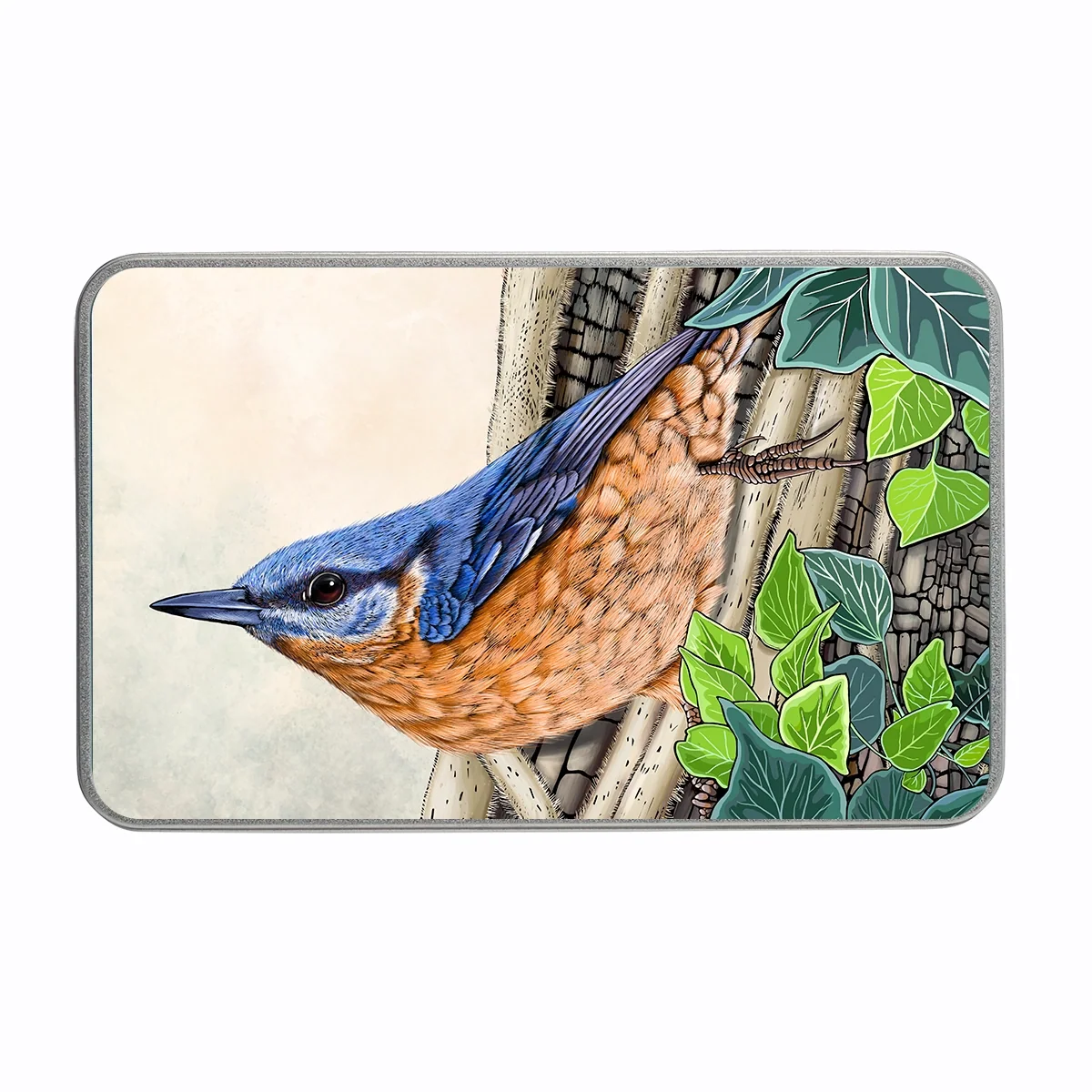 Nuthatch and Ivy decorative keepsake tin with illustrated British wildlife design