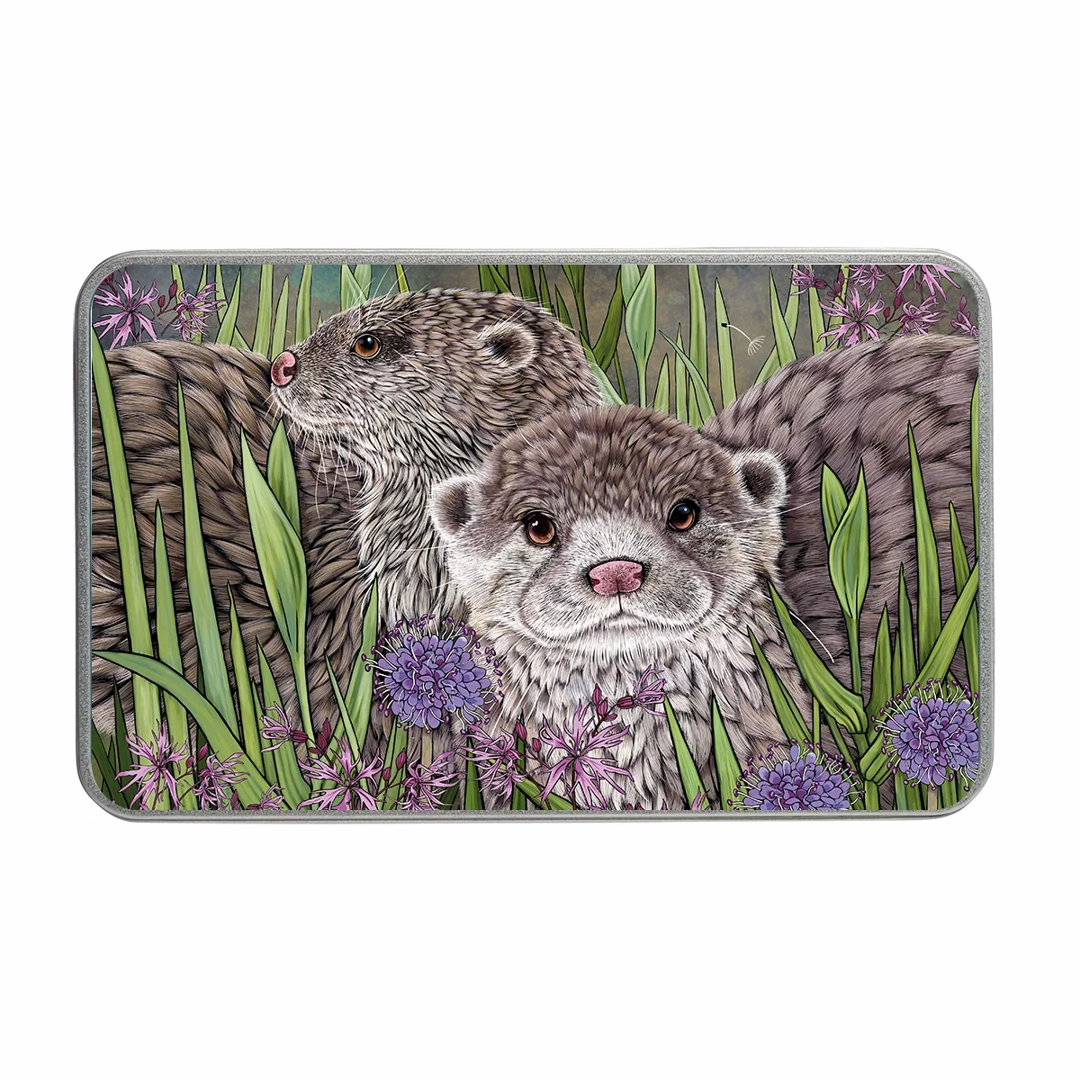 Otter and Wildflower decorative keepsake tin with illustrated British wildlife design