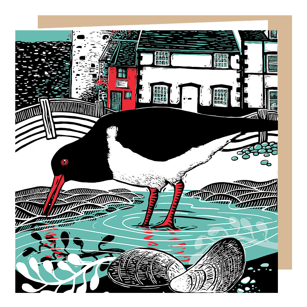 Wholesale Conwy Oystercatcher Card