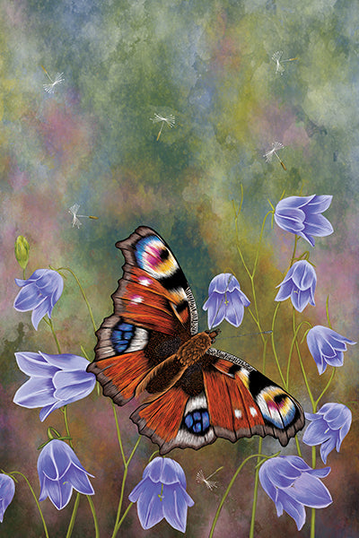 Stunning detailed illustration of a peacock butterfly with delicate lilac blue harebells in the background.