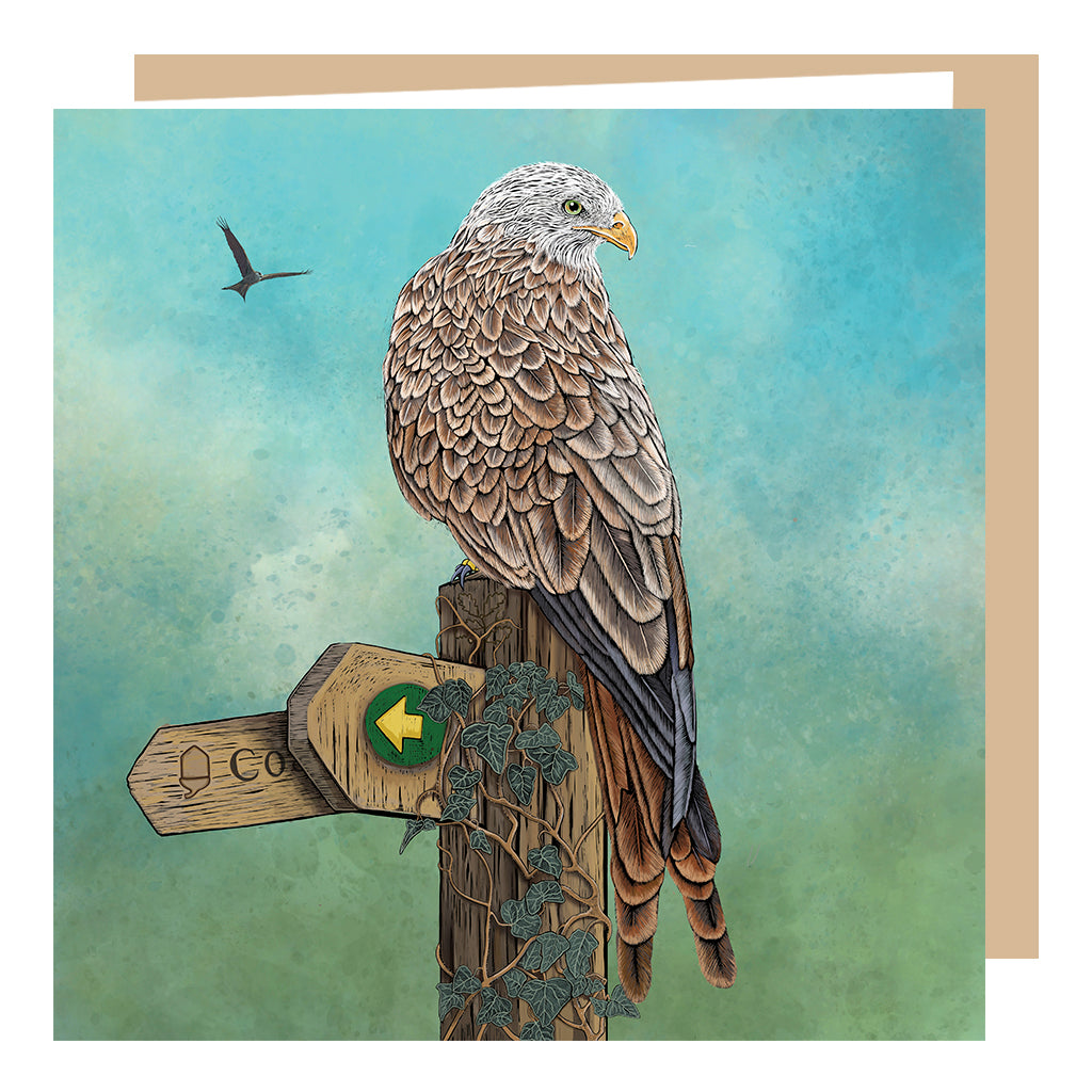 Wholesale 'Lord of the Skies' Red Kite Card