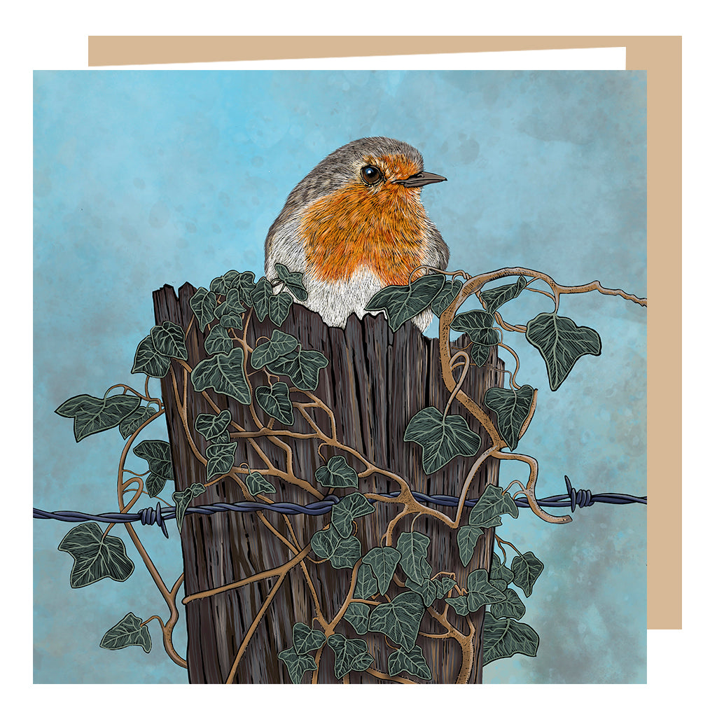 Robin greeting card; by Fox and Boo